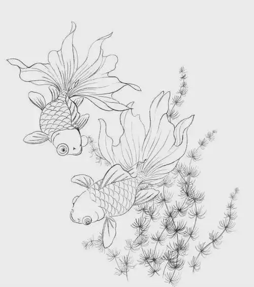 工笔画金鱼鱼戏图绘制分染全过程简单好学