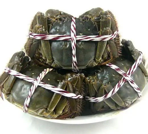 5母大闸蟹 125g/膏红肉肥/垂涎三尺