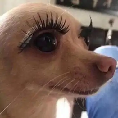 微信搞怪头像精选逗比专属 超级搞怪个性头像2020-腾牛个性网