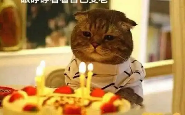 男生自己生日说说短句17岁生日写给自己的文案男生励志