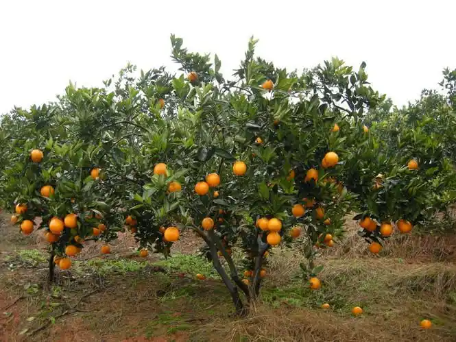 【常宁图片】中国印山图片 - 蚂蜂窝