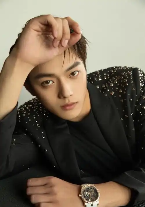 内娱男艺人颜值排名林更新18许凯15成毅第9刘学义第2谁能登顶