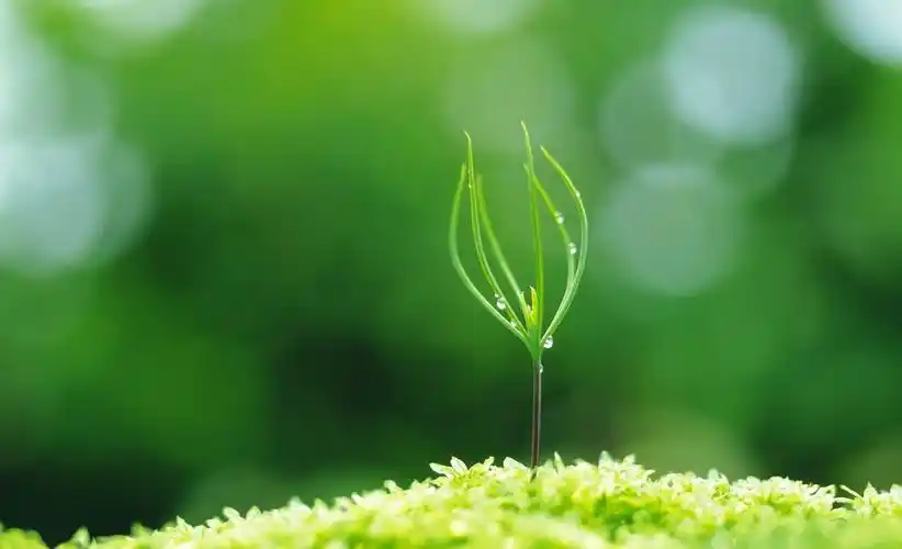 春天踏青的朋友圈句子