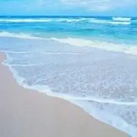 海洋头像图片大全唯美_微信头像图片大全