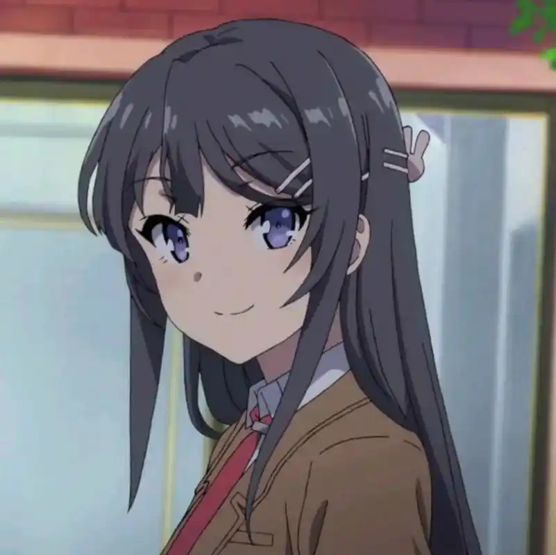 「青春猪头少年不会梦到兔女郎学姐」樱岛麻衣 头像情头表情包