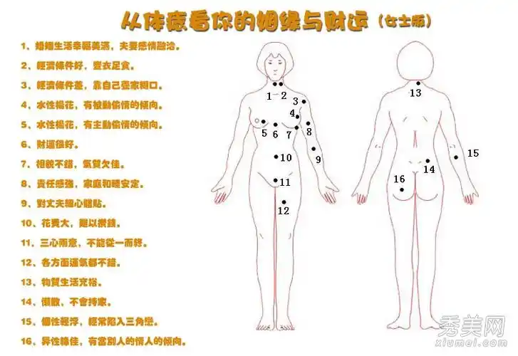 彩票软件有网页版吗