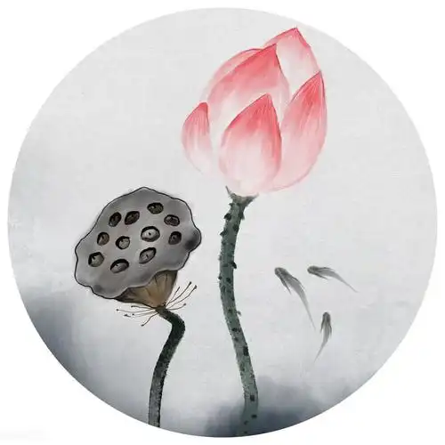 禅意静心唯美意境,古风仙仙荷韵写意之美