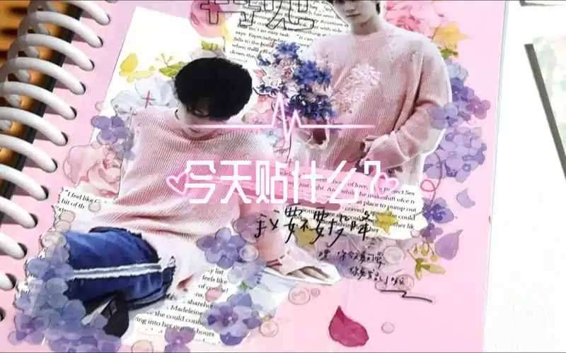 追星手帐|张真源|拼贴手帐