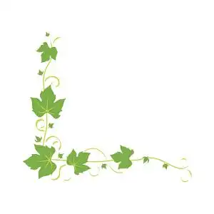 藤蔓花边图片素材免费下载 - 觅知网