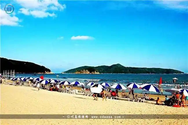 老板对不起,我要去上下川岛了,别再找我了