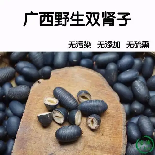 双肾子阴阳子风流果温肾补阳男性泡酒料广西野生特级500g 阴阳子500g