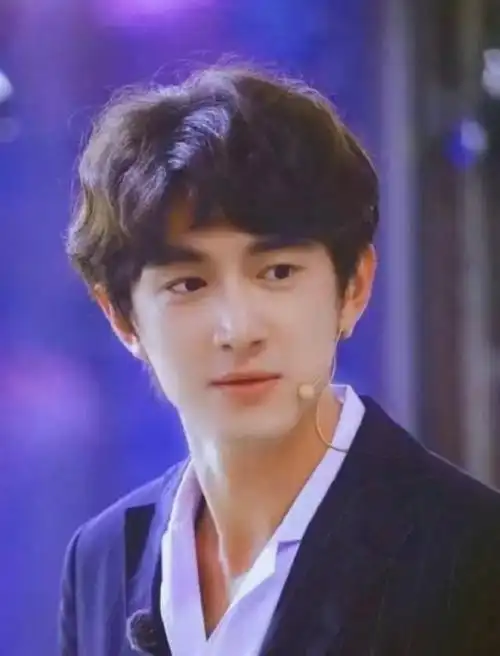 雷佳音年轻时不输林更新