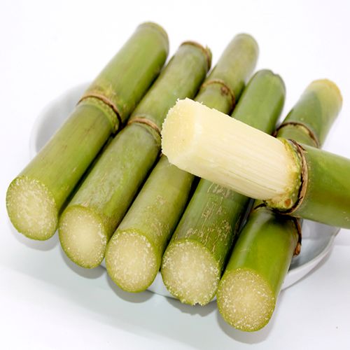 绿皮甘蔗新鲜时令水果农家特产青皮甘蔗脆甜多汁孕妇水果5斤