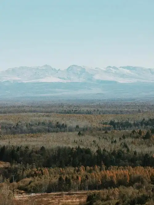 99酒店海拔999m,远处是原始森林98,再远处是长白山7215