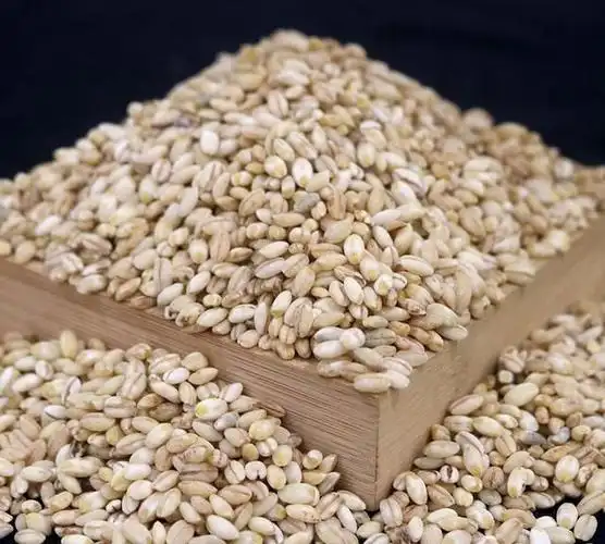 藏族青稞的来源图2