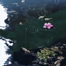 可以想象,在这样的天气里 烟雨江南空气里都泛着雾蒙蒙的味道 如烟似