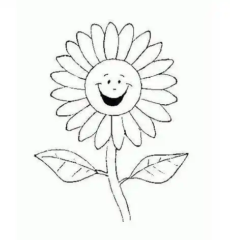 花简笔画大全 各种花朵简笔画图片大全