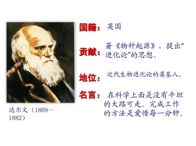 简介:牛顿 达尔文贝多芬第7课 近代科学与文化巴尔扎克 列夫