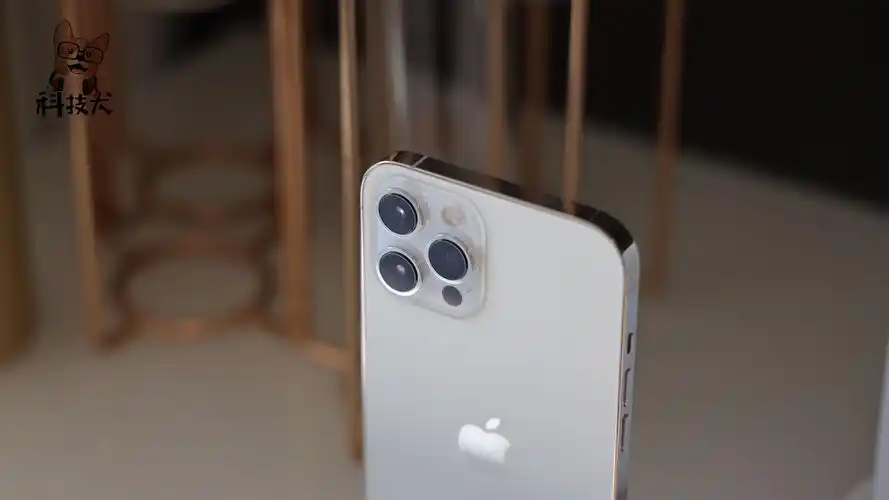 x60 pro ,三星s21,iphone 12,咋选?