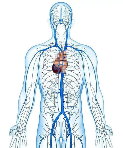 什么是中心静脉压?