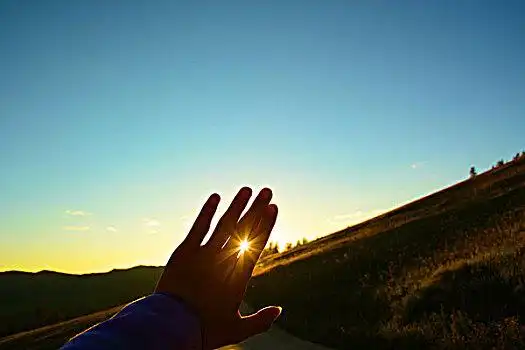 一只手图片-一只手图片大全-一只手图片下载-全景网