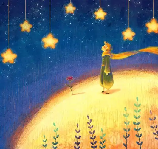 《小王子》—— 一本写给大人的童话,关于爱和悲伤.