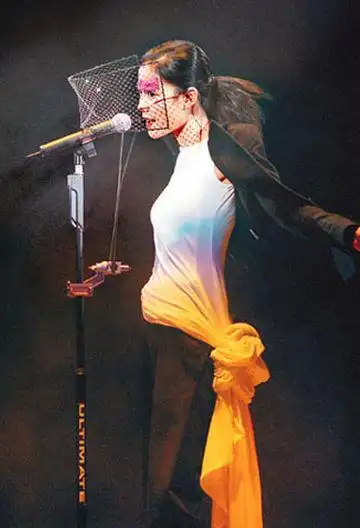 回顾王菲演唱会惊艳发型造型[图]