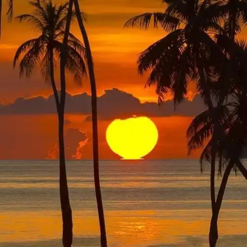 适合一辈子风景头像图片