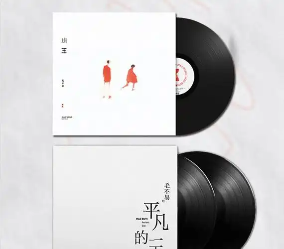 正版毛不易专辑小王平凡的一天lp黑胶唱片留声机专用12寸
