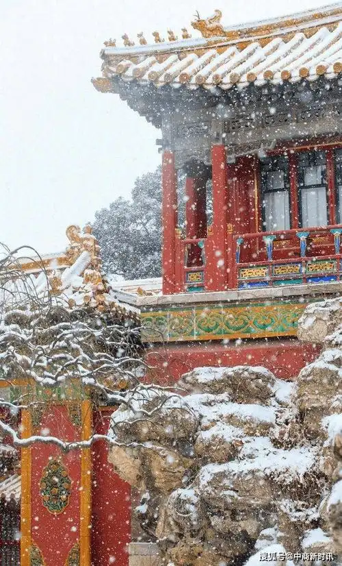 北京一场雪后之故宫雪景图_北京迎虎年初雪_故宫雪景图来了_双奥