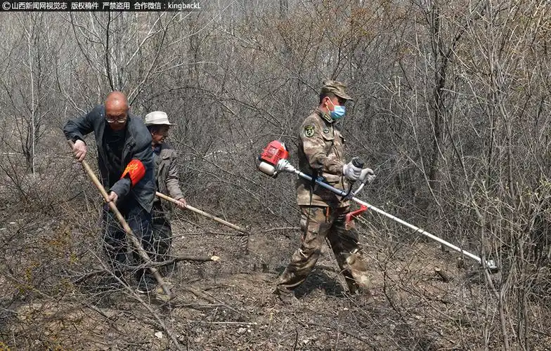 山西五台:打造隔离带 筑牢森林防火网
