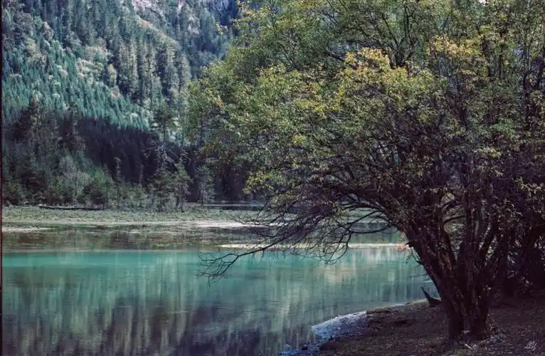 最美的风景在路上中