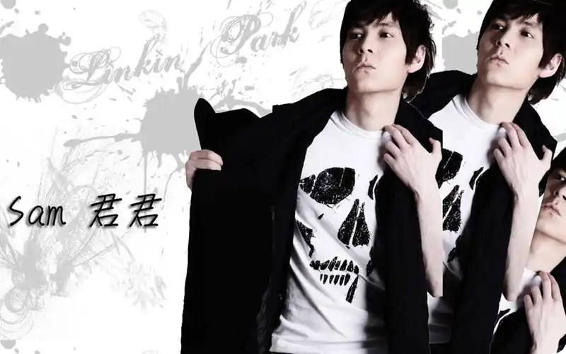 我型我秀天然美少年君君帅气壁纸