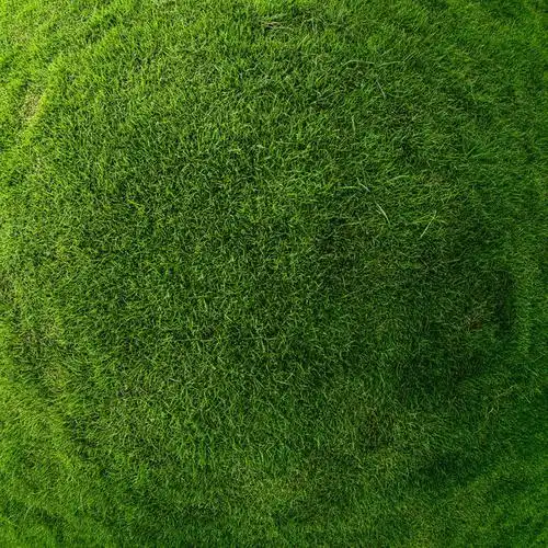 绿色草地背景图片素材下载,绿色草地背景图片,绿色,草地,草坪,人工