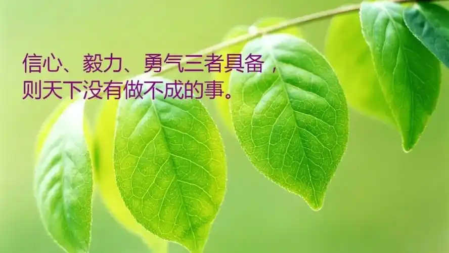 早安励志心灵鸡汤哲理语录 微信早晨励志激励语