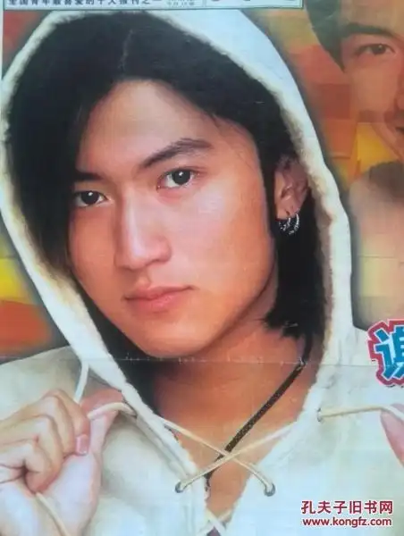 对开彩铜版豪华明星海报封页谢霆锋刚出道时,小燕子赵薇