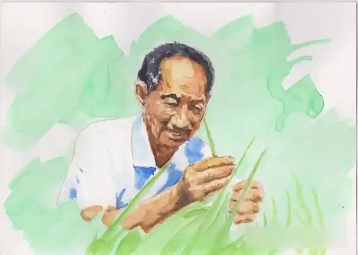 邓州市城区三小学生袁烁然作品 《一颗影响世界的种子——袁隆平》获