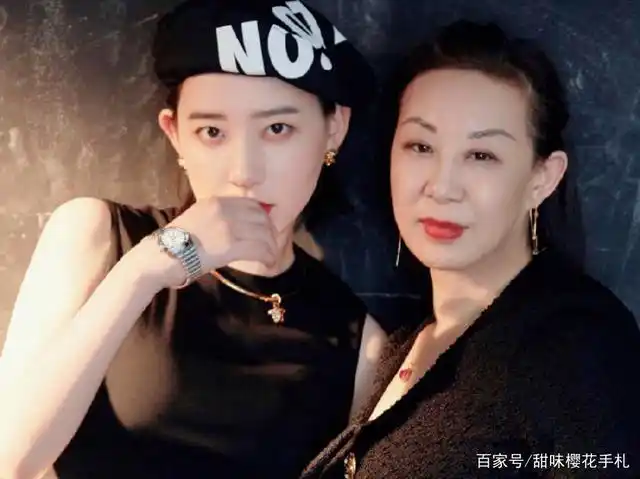 毫无经验,吴昕李斯丹妮妈妈凭什么闯进《妈妈,你真好看》半决赛