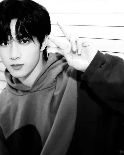 刘耀文黑白滤镜随拍