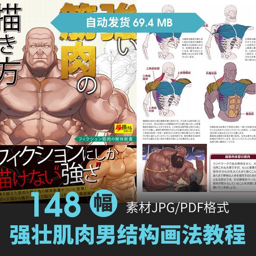 强壮男性人物肌肉的画法人身体结构动态骨骼手绘画线稿教程素材