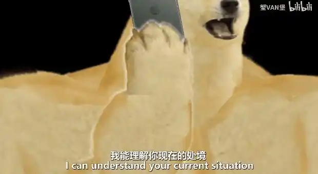 这个一直给doge当配角的狗子 正在成为下一代doge|黑名单|doge|表情包