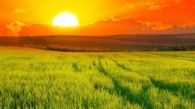 请用最美的笑容面对你遇见的每一个人,面对每一件事,不管这件事情对