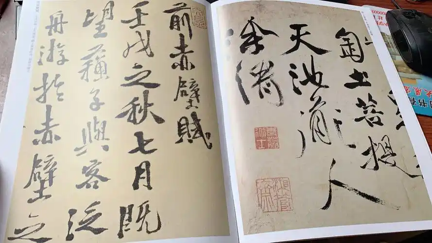 徐渭 历代名家书法经典 繁体旁注 草书诗轴 行草立轴 草书岑参诗轴 画