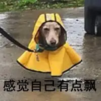 感觉自己有点飘表情包_微信头像图片大全