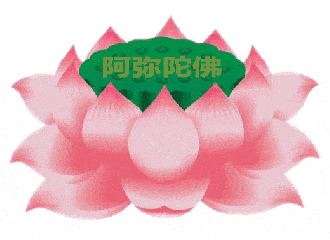 莲花 绿色 阿弥陀佛 莲蓬