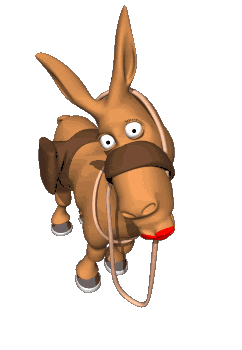 惊海阳这种小动物目前仅存213头请好好保护