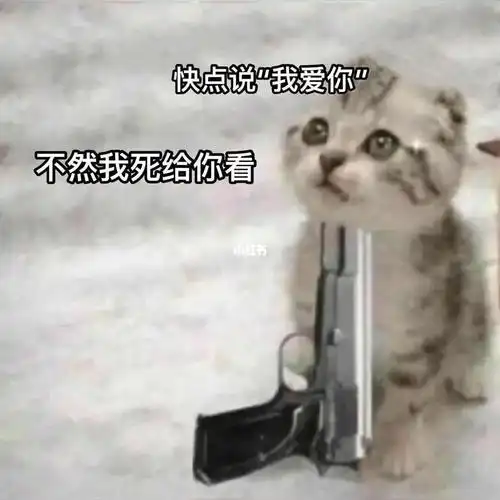 发给男友的表情包