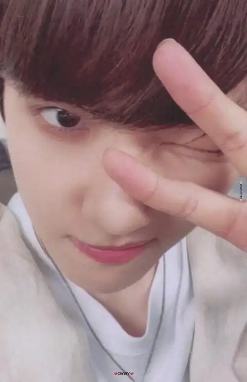 芭兰歌林代言人边伯贤