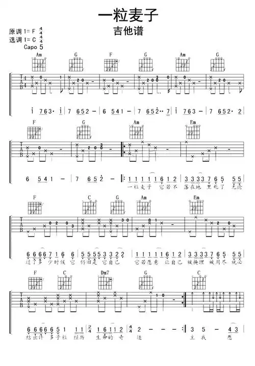 一粒麦子吉他谱