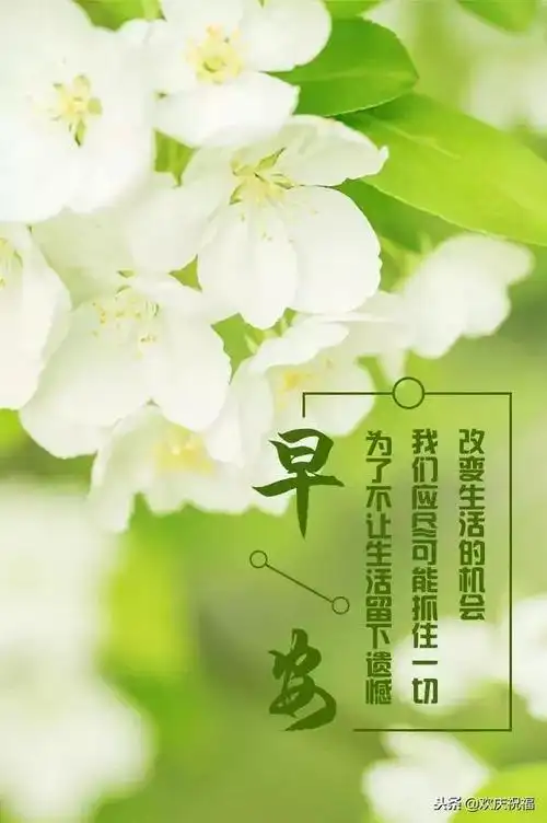 简简单单的生活,平平淡淡的幸福说说【简单生活感悟经典句子短句】_八